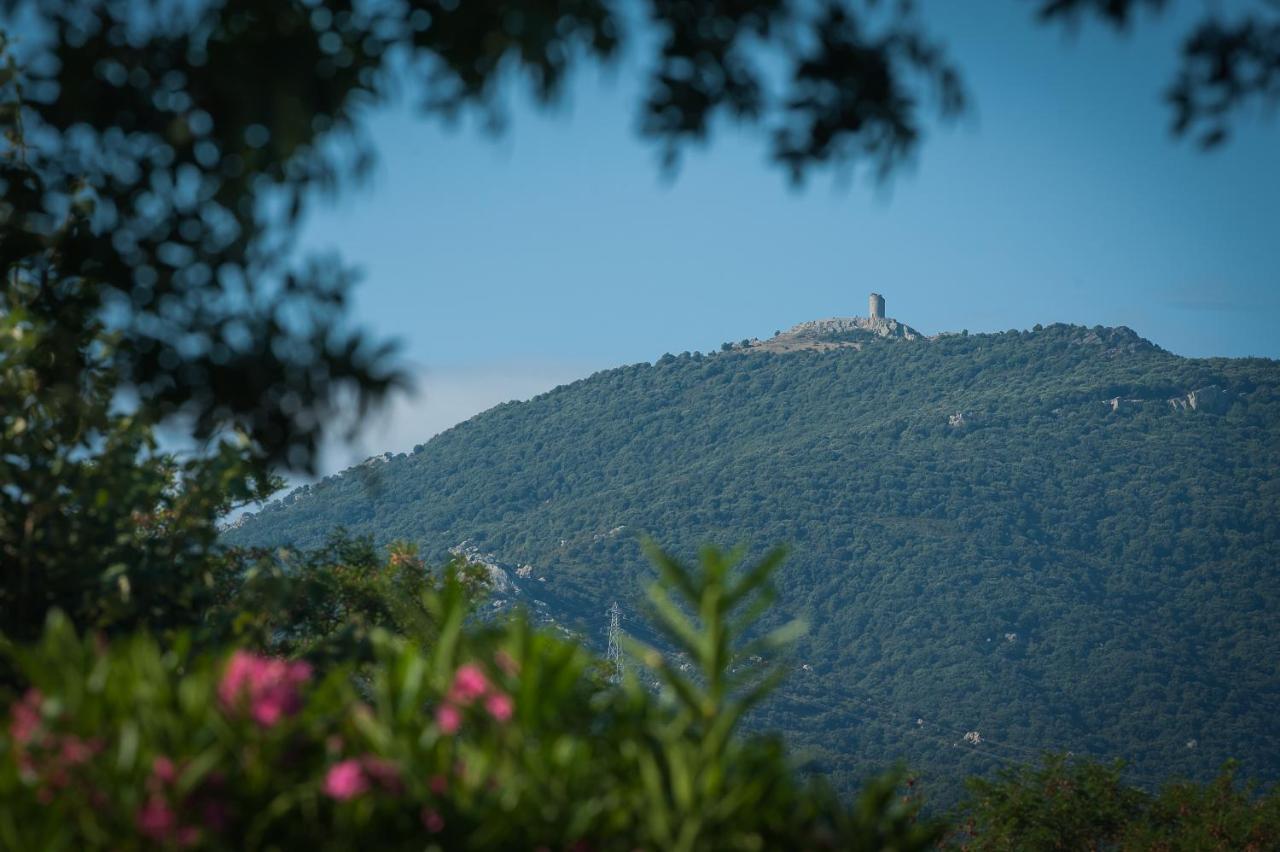 Camping La Plage Argeles Eksteriør billede